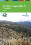 Key Native Ecosystem Plan for Pakuratahi 2014-17 preview