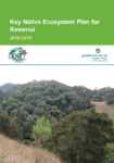 Key Native Ecosystem Plan for Rewanui 2016-2019 preview