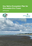 Key Native Ecosystem Plan for Riversdale-Orui Coast 2016-2019 preview