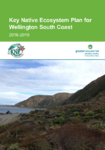 Key Native Ecosystem Plan for Wellington South Coast 2016-2019 preview