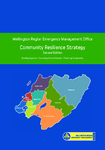 Wellington Region Emergency Management Office Community Resilience Strategy  preview