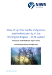 Sites of significance for indigenous marine biodiversity in the Wellington Region – 2021 update preview