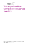 Wairarapa Combined District Greenhouse Gas Inventory 2018/19 preview