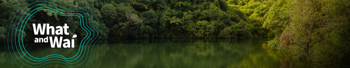 A banner showing a lake in a forest, with the words "What and Wai" overtop