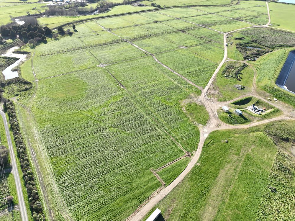 An aerial view of Daleton Nursery