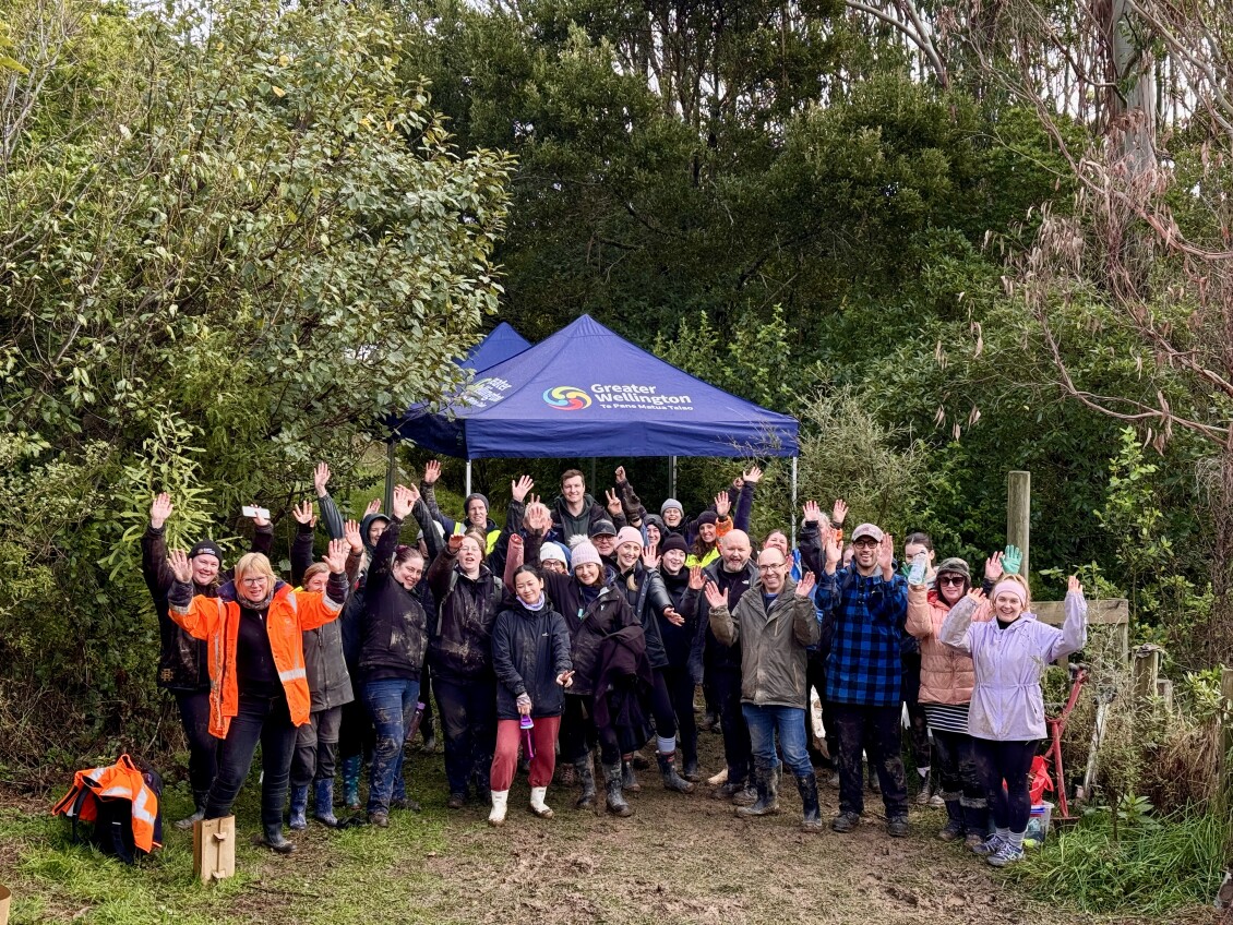 A group of people at a planting day