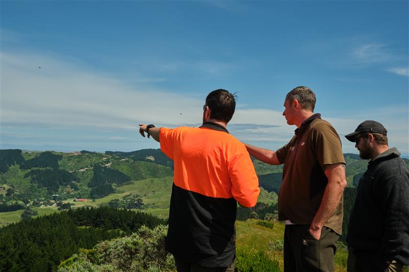 GW staff in Akatarawa Forest, Upper Hutt