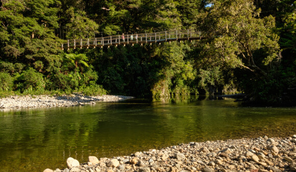 Kaitoke 2022 DSCF7962