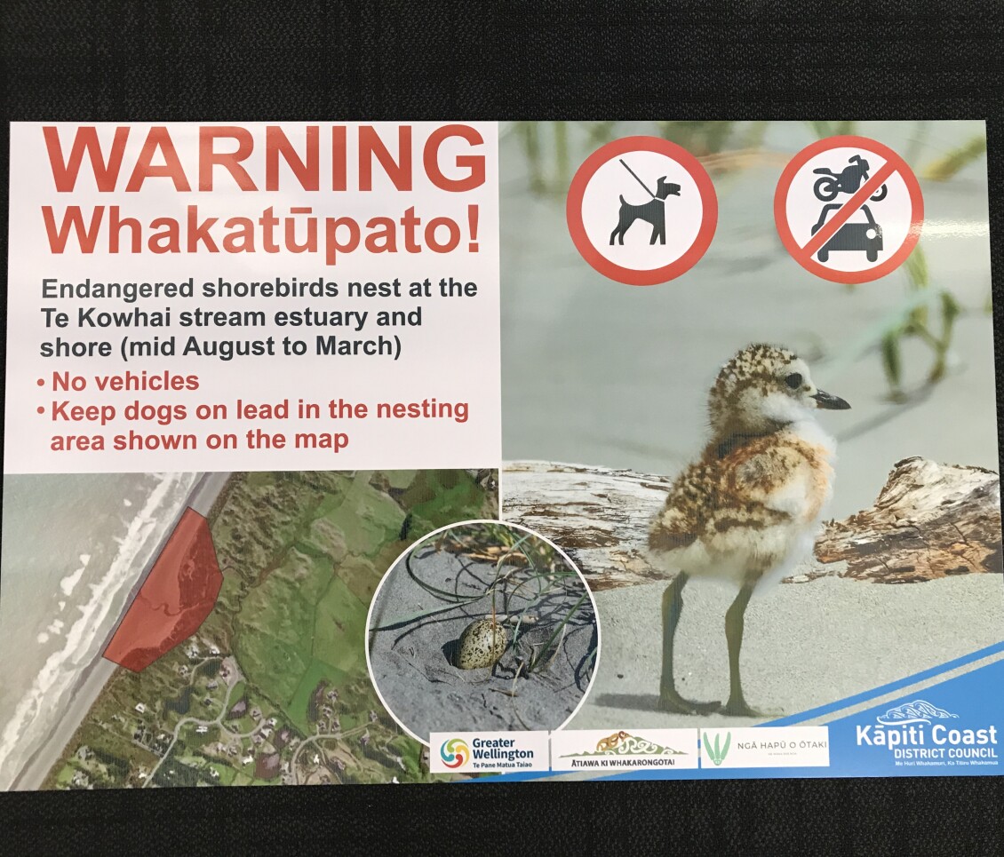 Signage warning the public that dotterels are nesting nearby