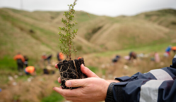 Connect with nature this Matariki at a community planting day 