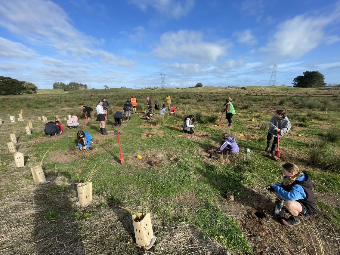 About a dozen student from Te Horo School planting seedlings in a field