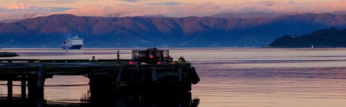 A view across Wellington Harbour