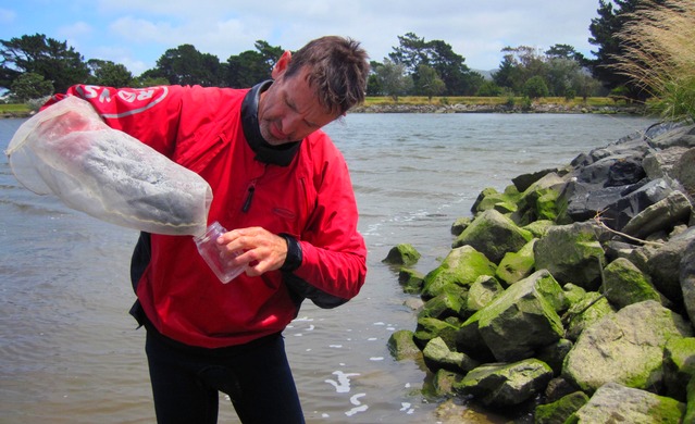 Hutt Estuary Intertidal Sediment Monitoring