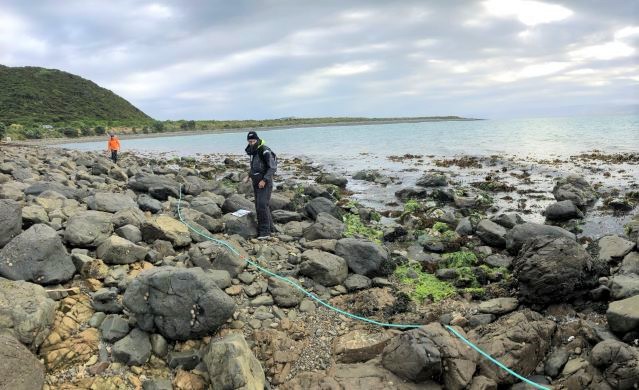 Kāpiti and Mana Island Rocky Shore Survey