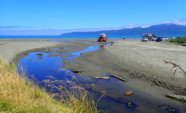 Paraparaumu and Waikanae Beach Survey