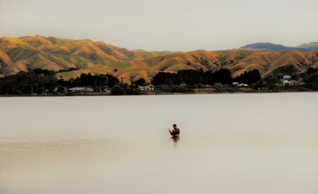 Te Awarua-o-Porirua Sediment Monitoring