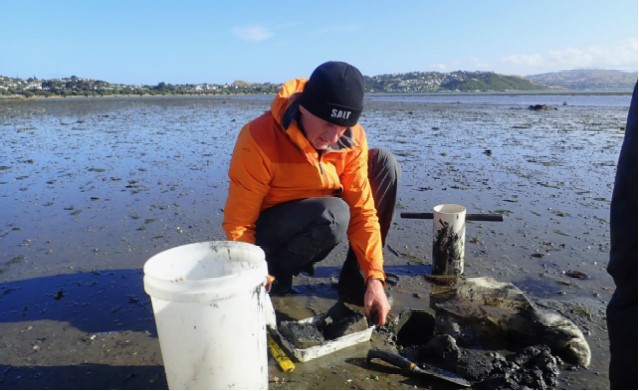 Te Awarua-o-Porirua Harbour Fine Scale Intertidal Sediment and Macrofaunal Survey